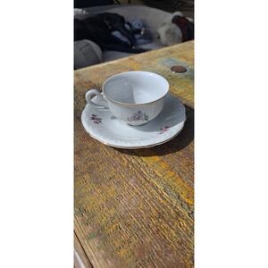 vintage porcelain cup  saucer  by IJB in Germany during US Zone Occupation